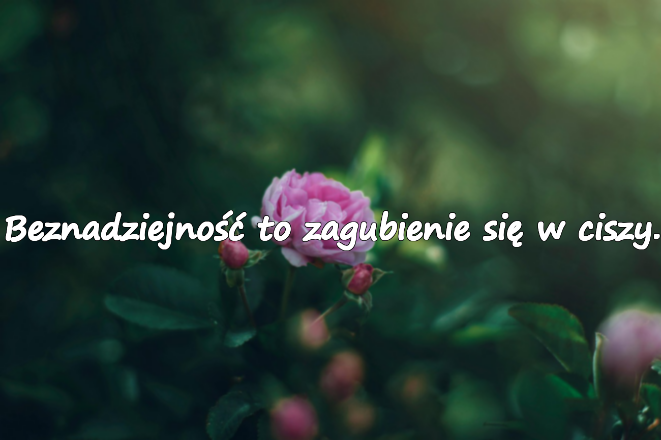 Beznadziejność to zagubienie się w ciszy.