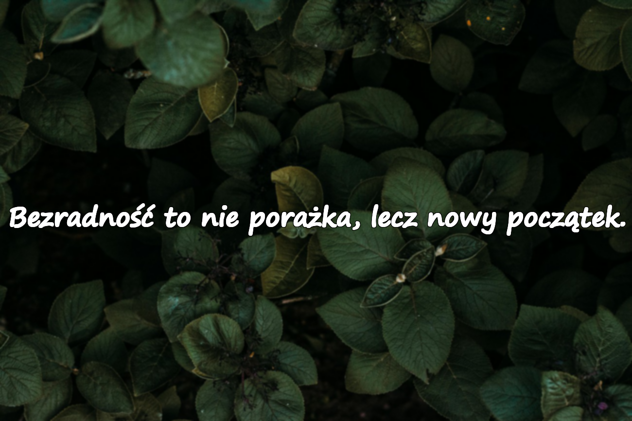 Cytaty o bezradności