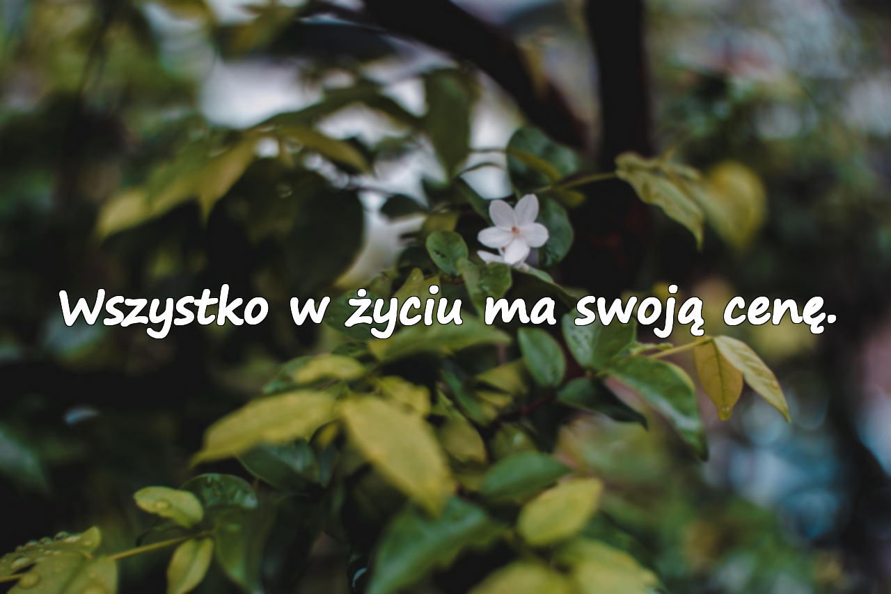 Cytaty o cenie, którą trzeba zapłacić