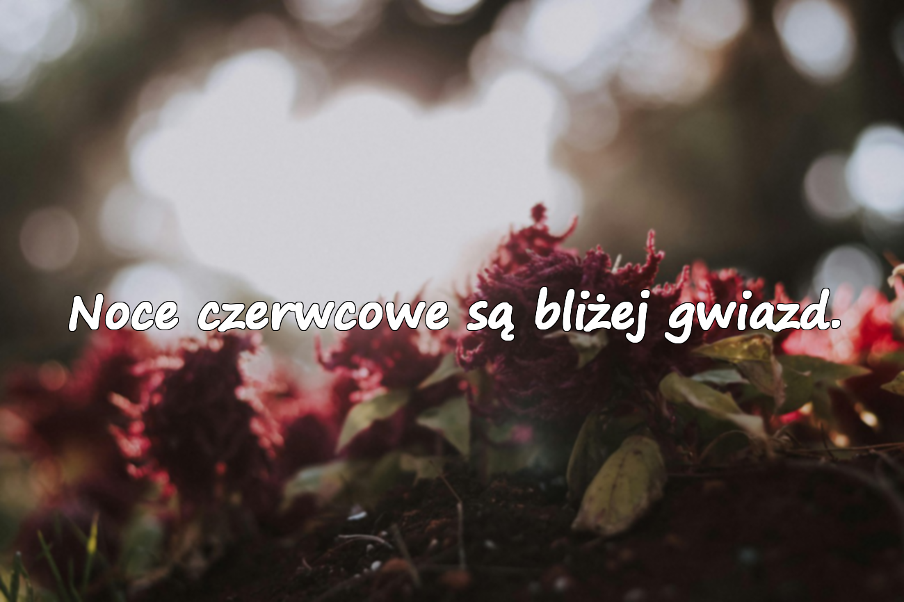 Noce czerwcowe są bliżej gwiazd.