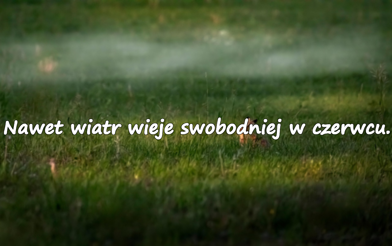 Cytaty o czerwcu