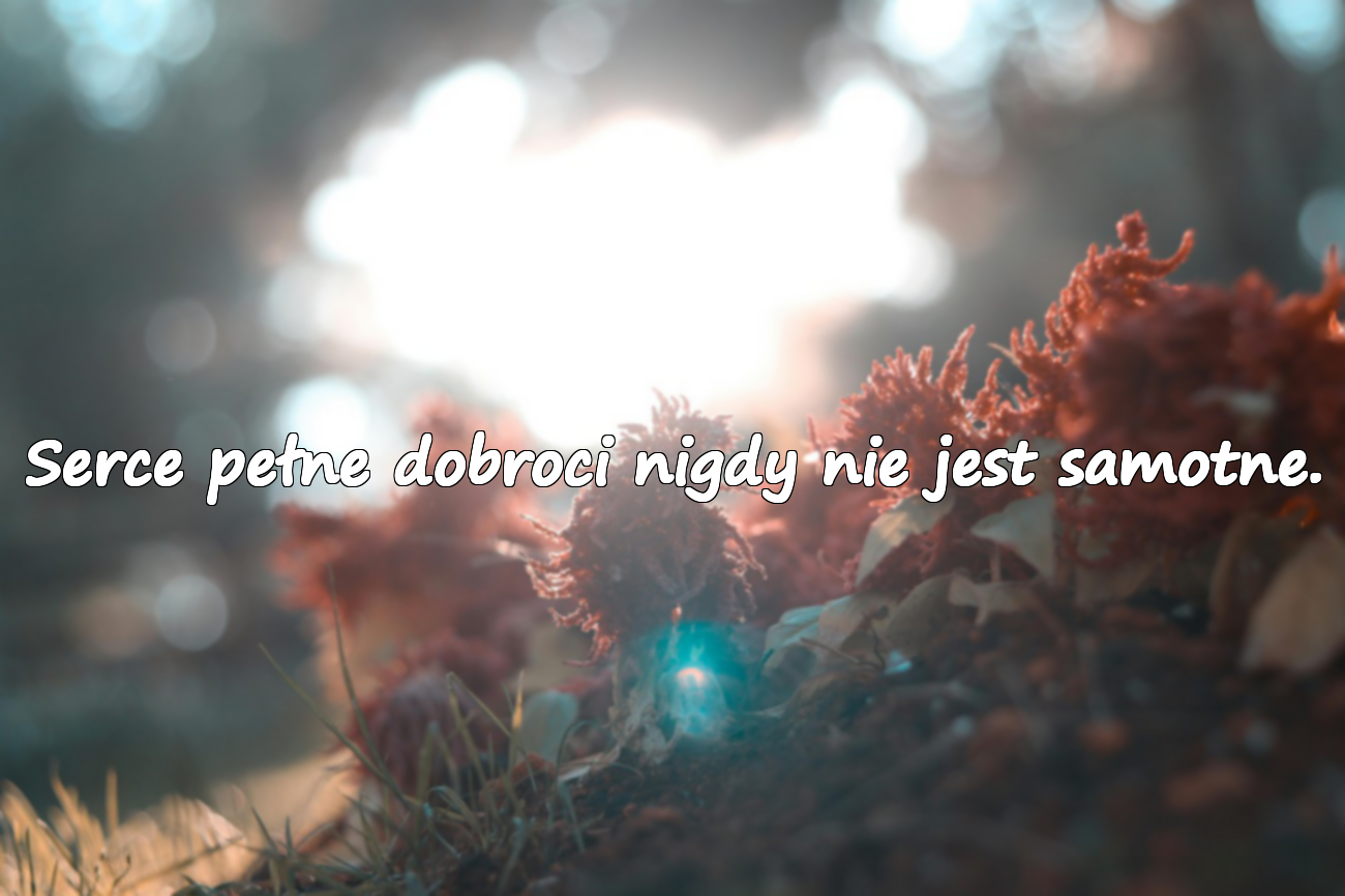 Cytaty o dobroci