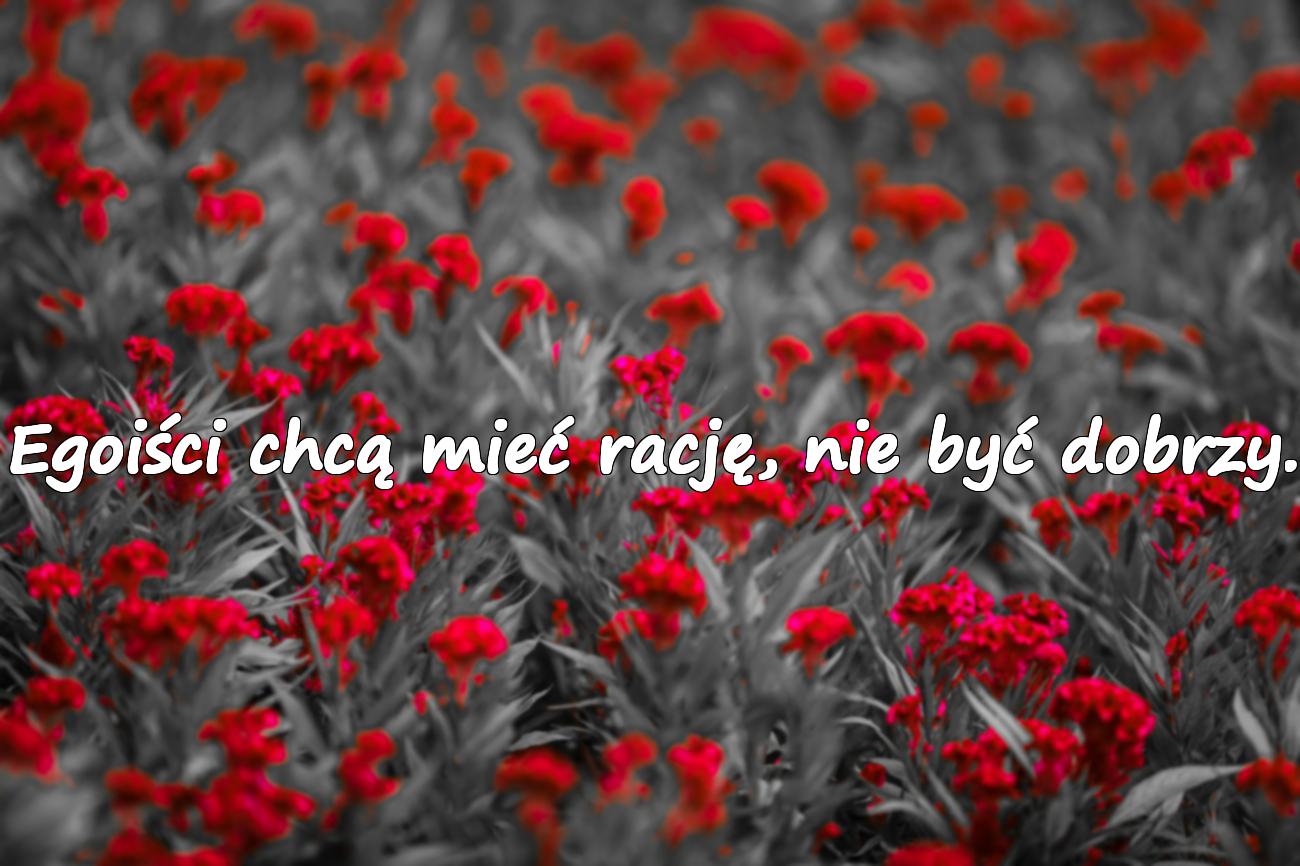 Cytaty o egoizmie