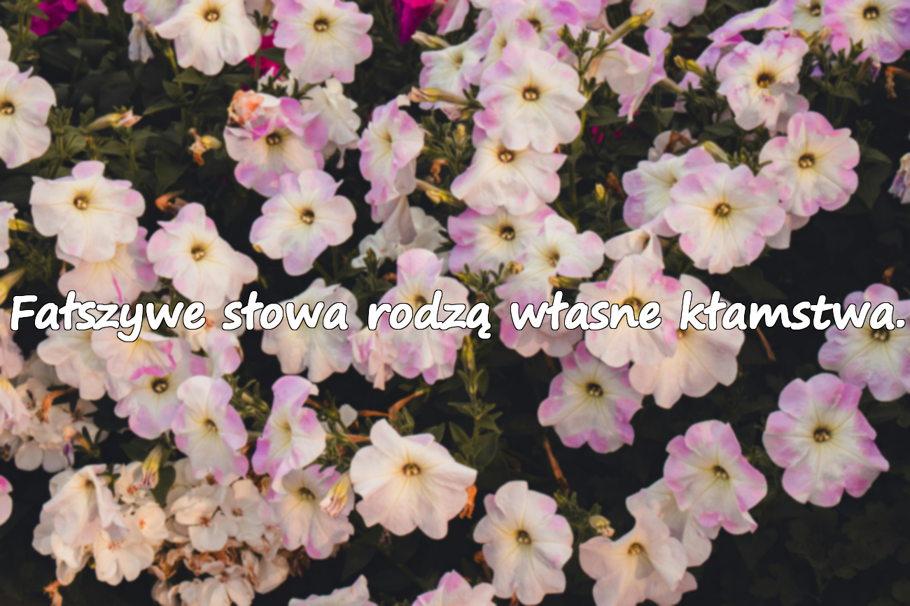 Fałszywe słowa rodzą własne kłamstwa.