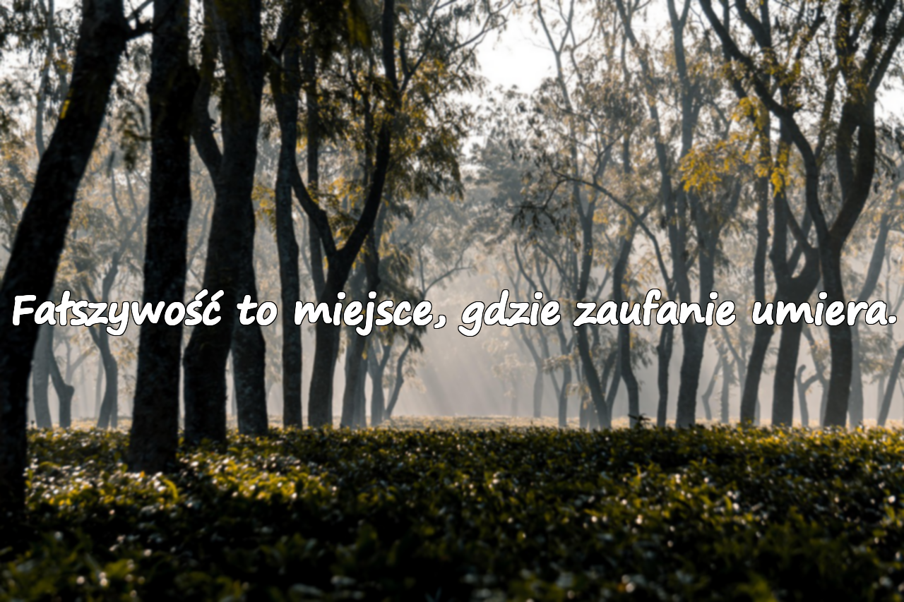 Fałszywość to miejsce, gdzie zaufanie umiera.