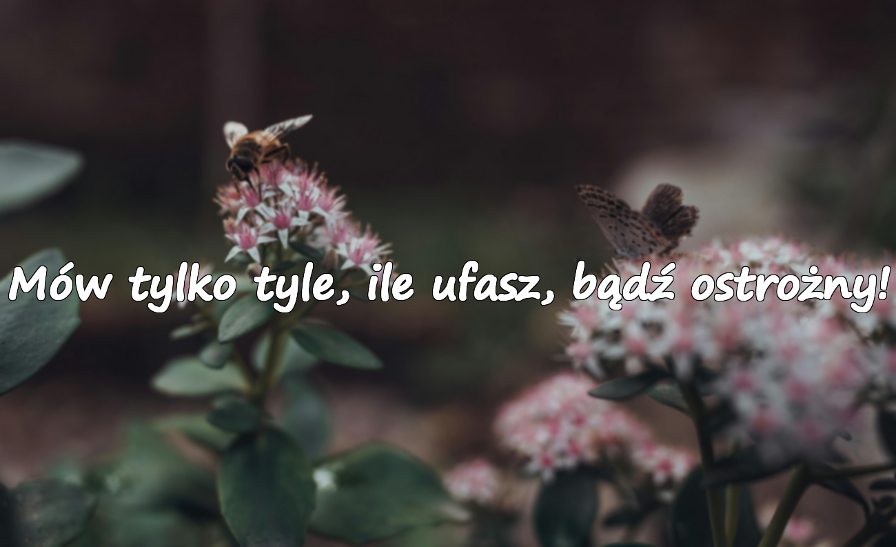 Mów tylko tyle, ile ufasz, bądź ostrożny!