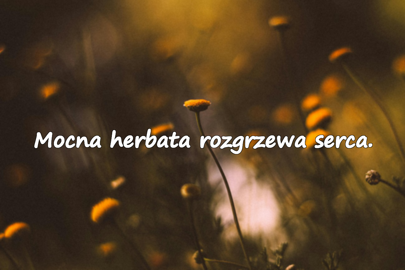 Cytaty o herbacie