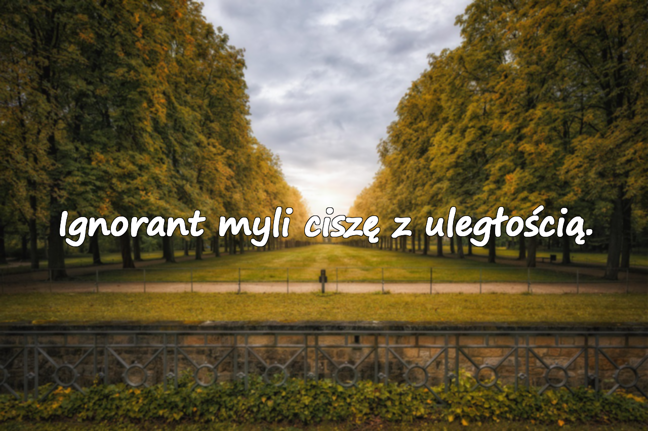 Cytaty o ignorancji