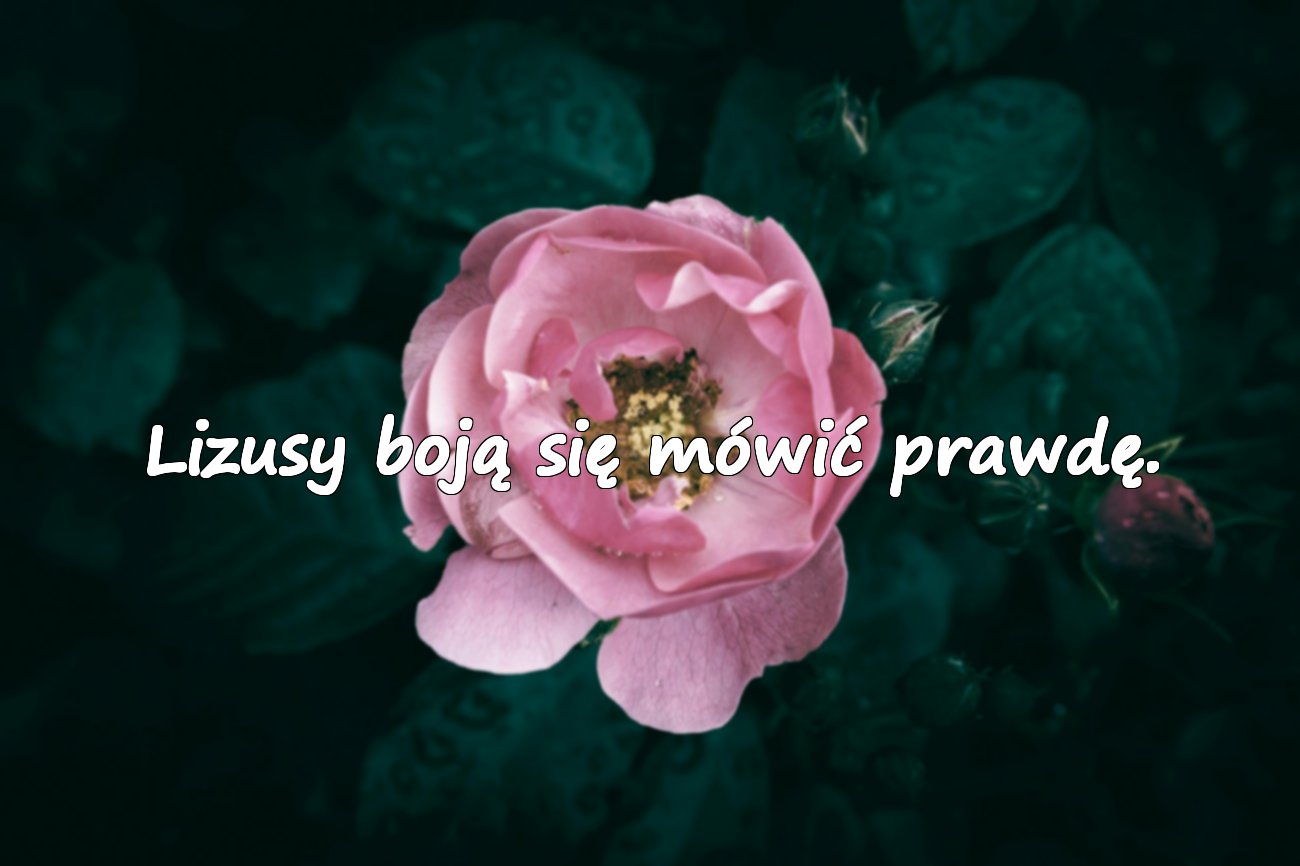 Lizusy boją się mówić prawdę.