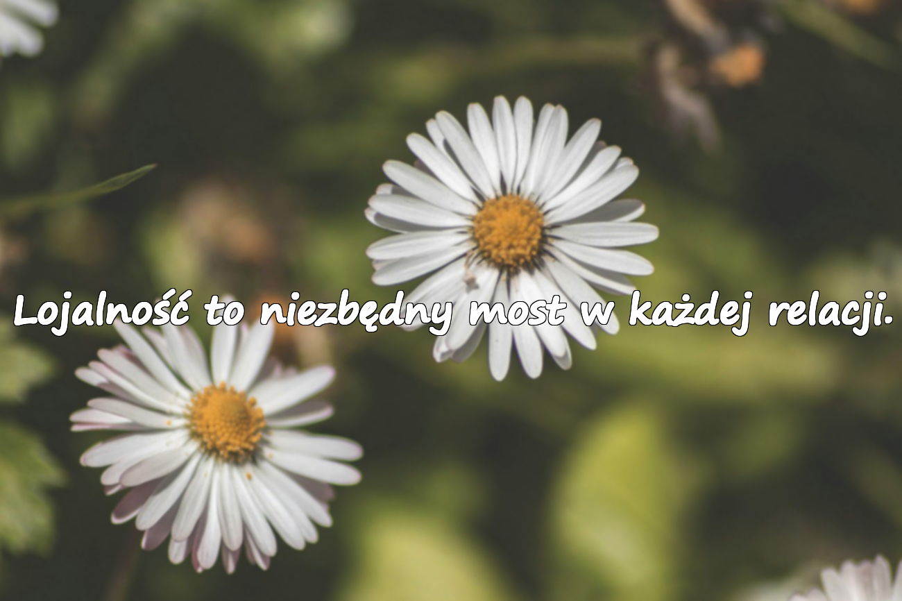 Lojalność to niezbędny most w każdej relacji.
