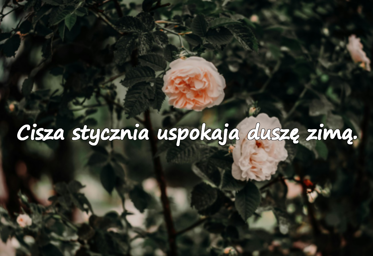Cytaty o miesiącu styczniu