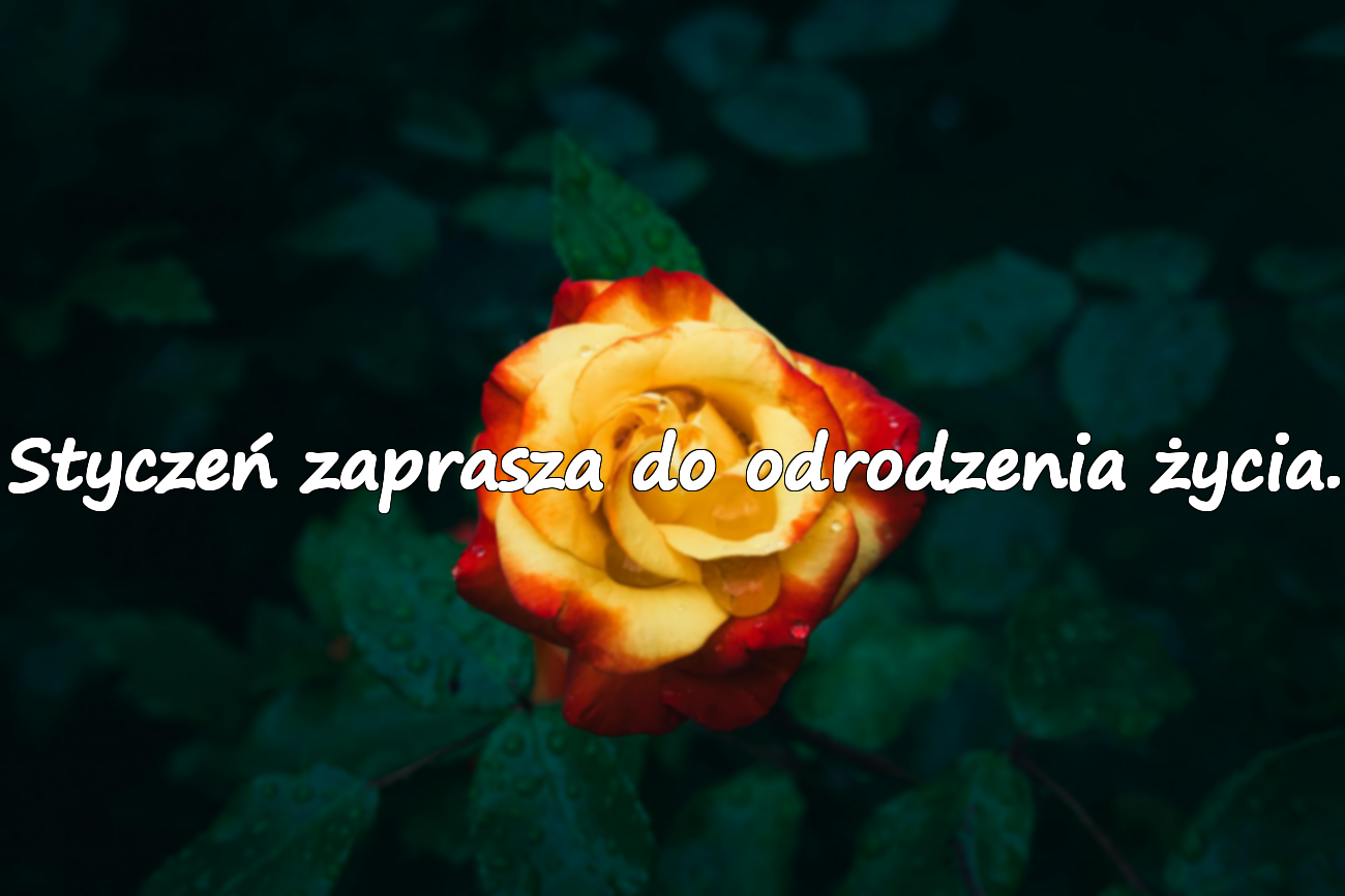 Cytaty o miesiącu styczniu