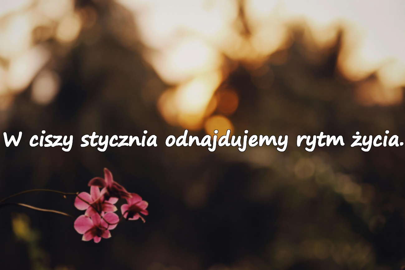 Cytaty o miesiącu styczniu