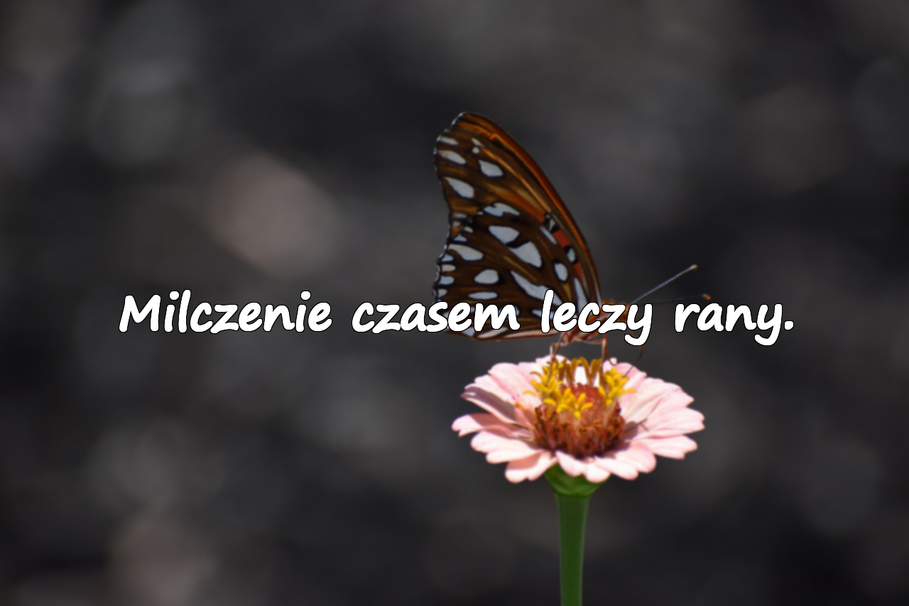 Milczenie czasem leczy rany.