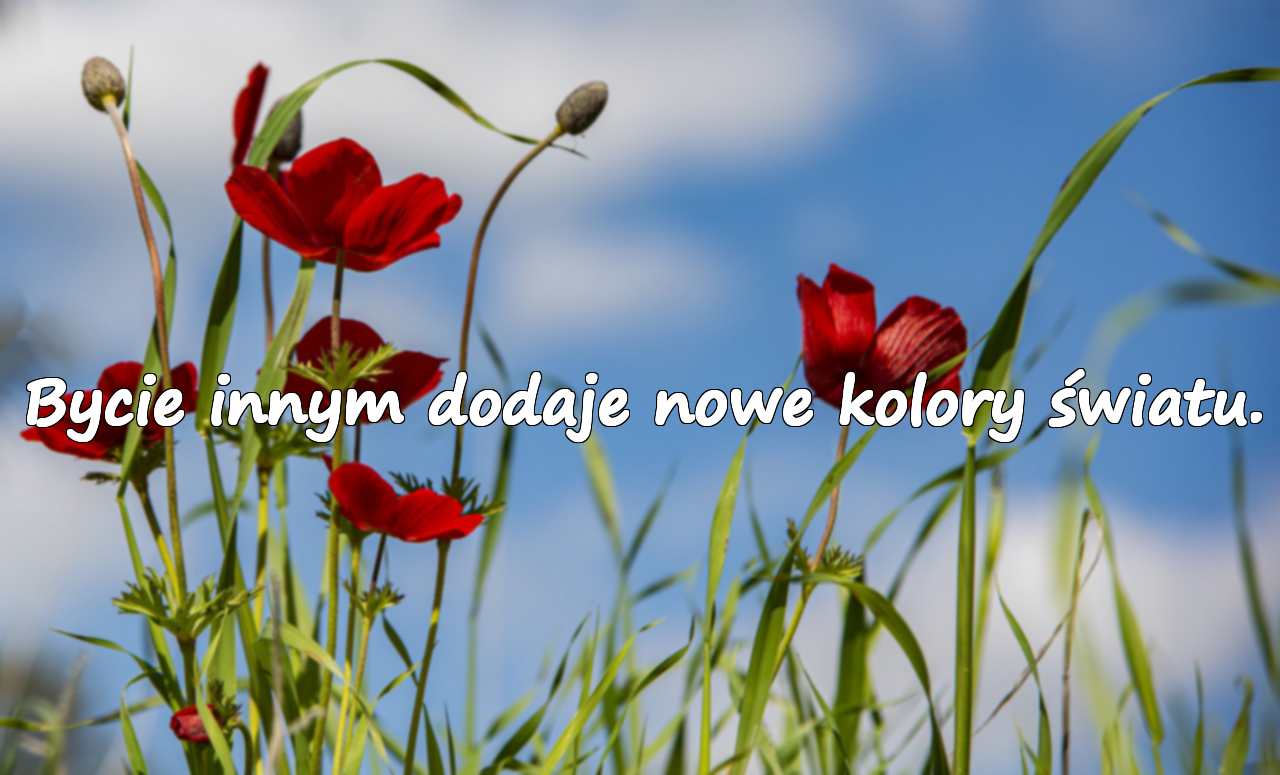 Bycie innym dodaje nowe kolory światu.