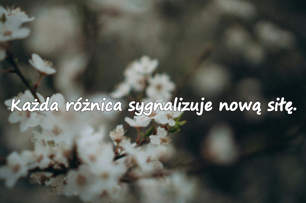 Cytaty o niepełnosprawności
