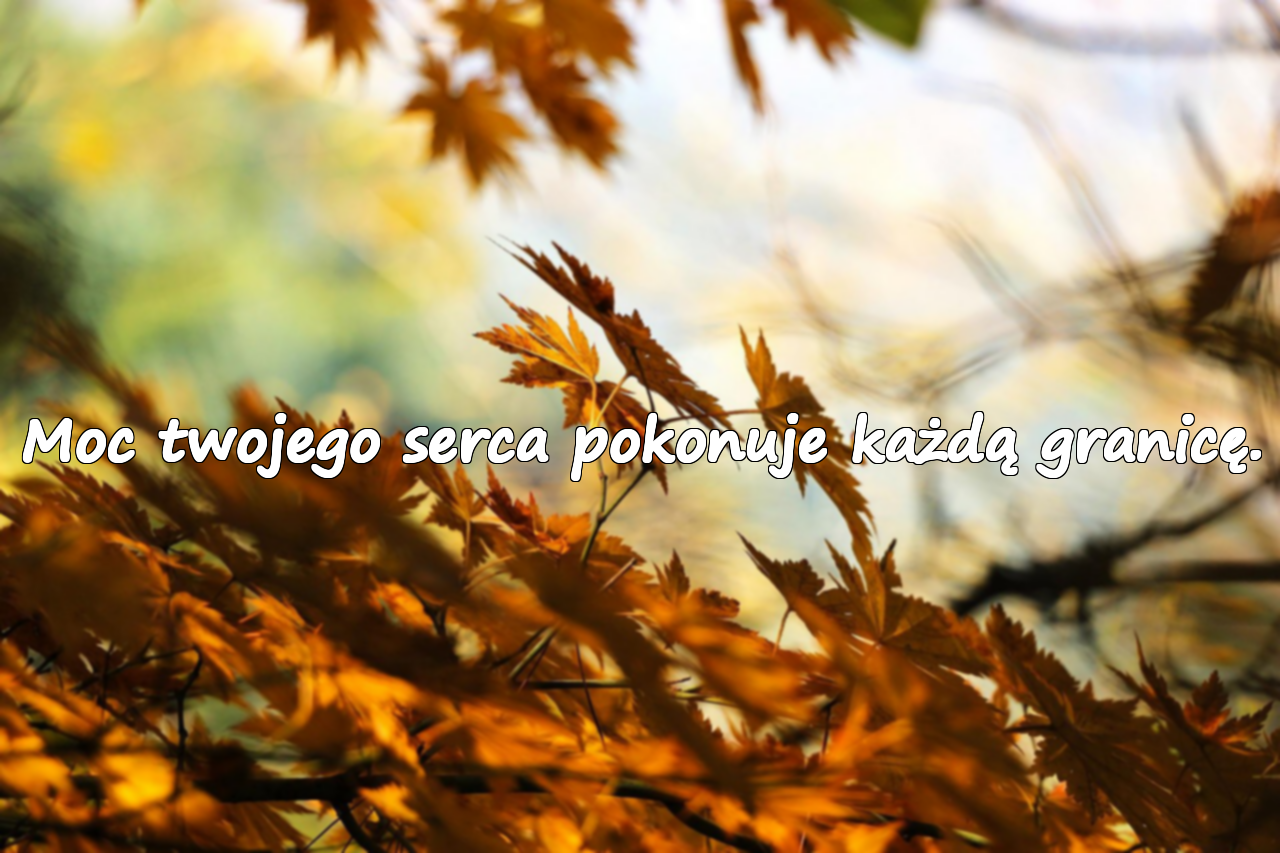 Cytaty o niepełnosprawności
