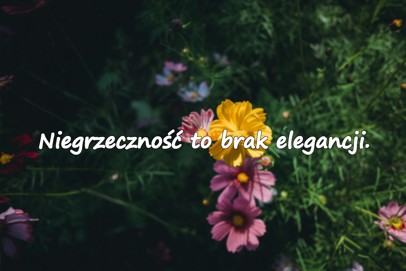 Cytaty o nieuprzejmości