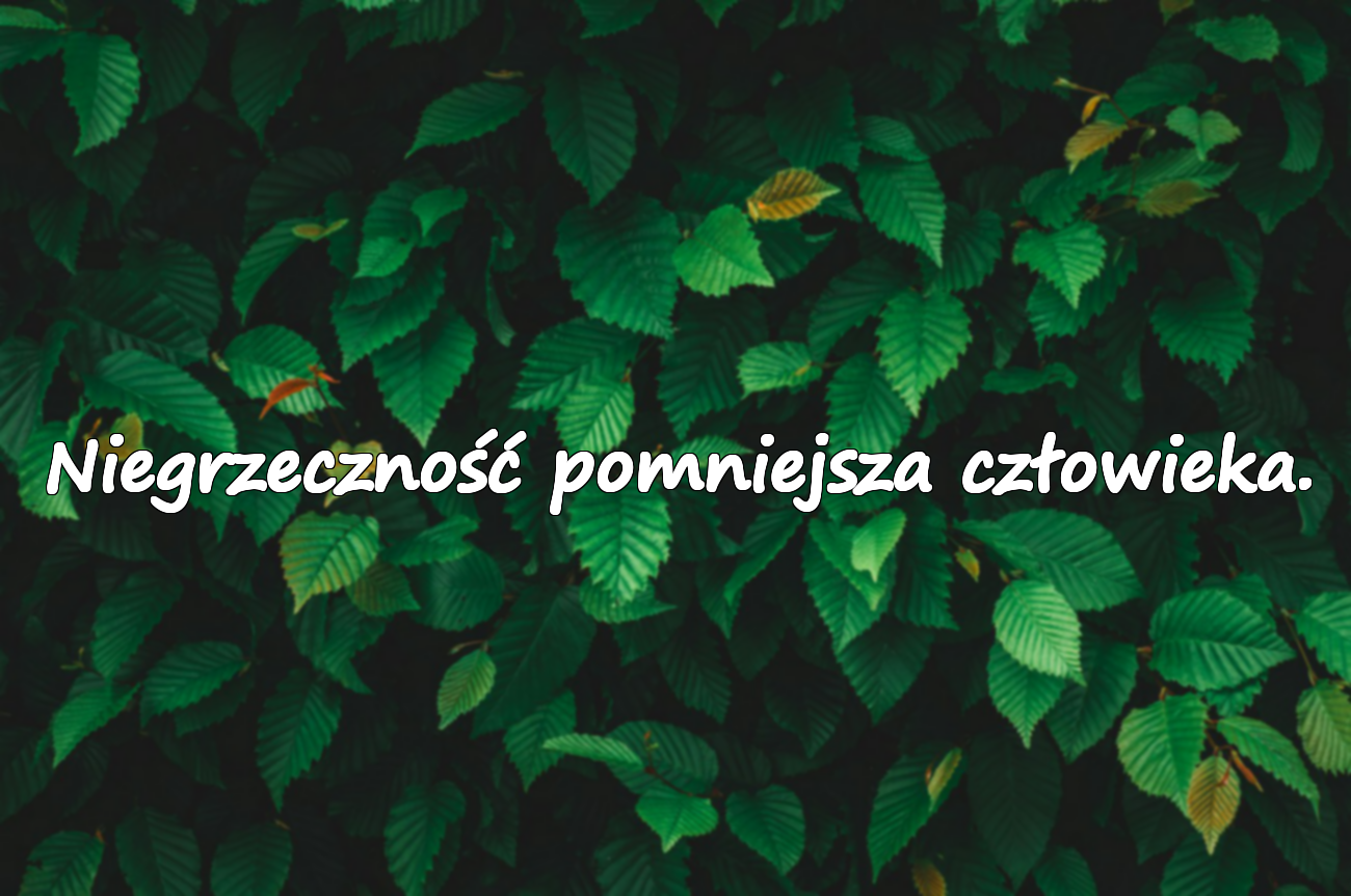Cytaty o nieuprzejmości