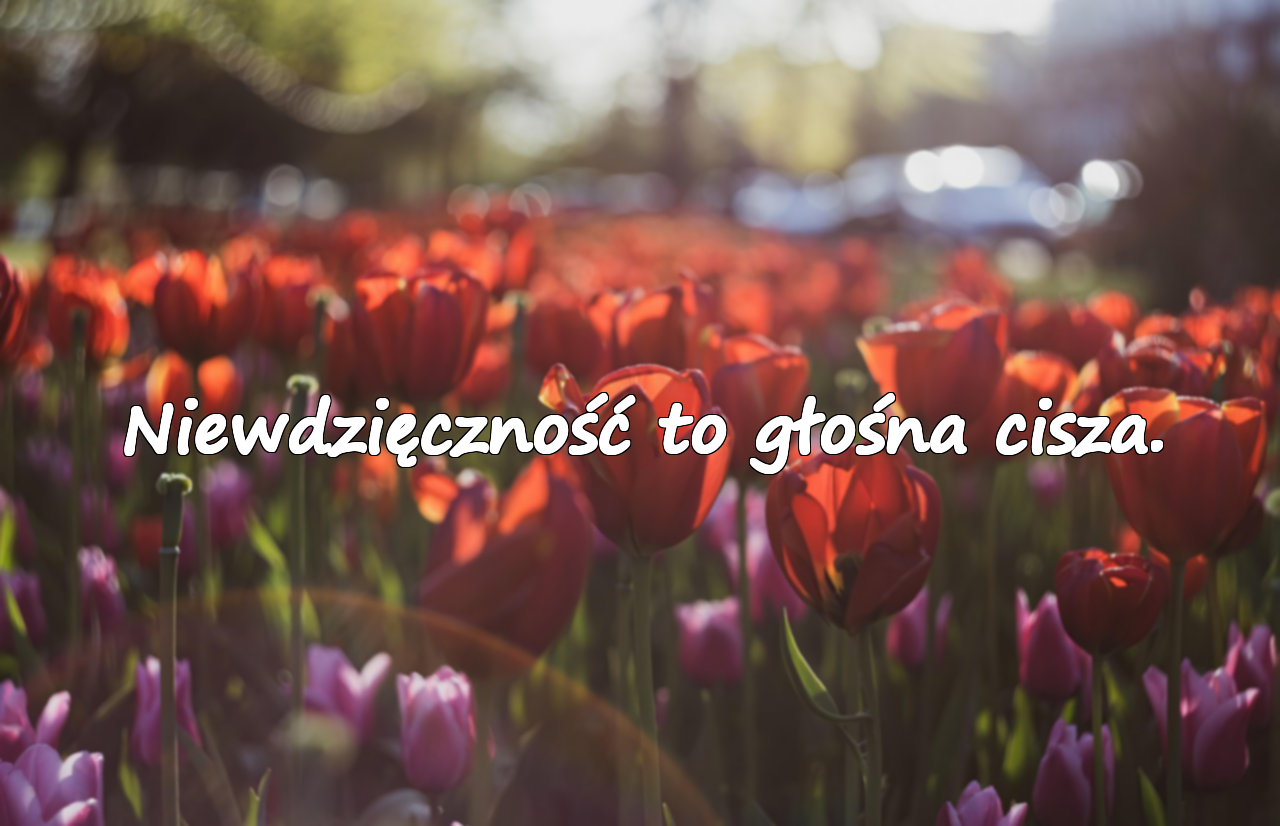 Niewdzięczność to głośna cisza.
