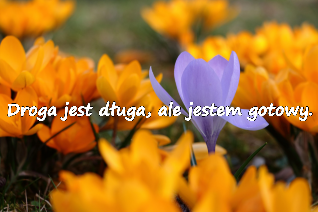 Droga jest długa, ale jestem gotowy.