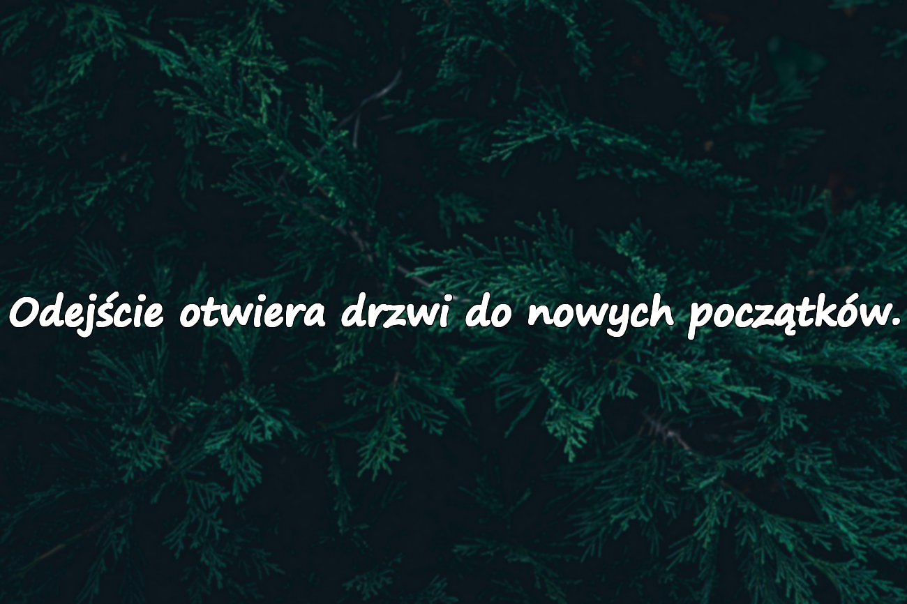 Cytaty o odejściu