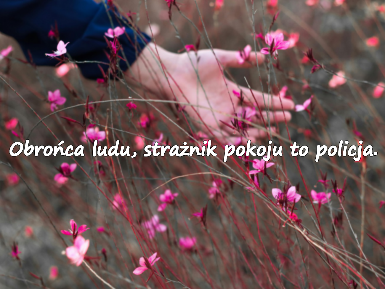 Obrońca ludu, strażnik pokoju to policja.