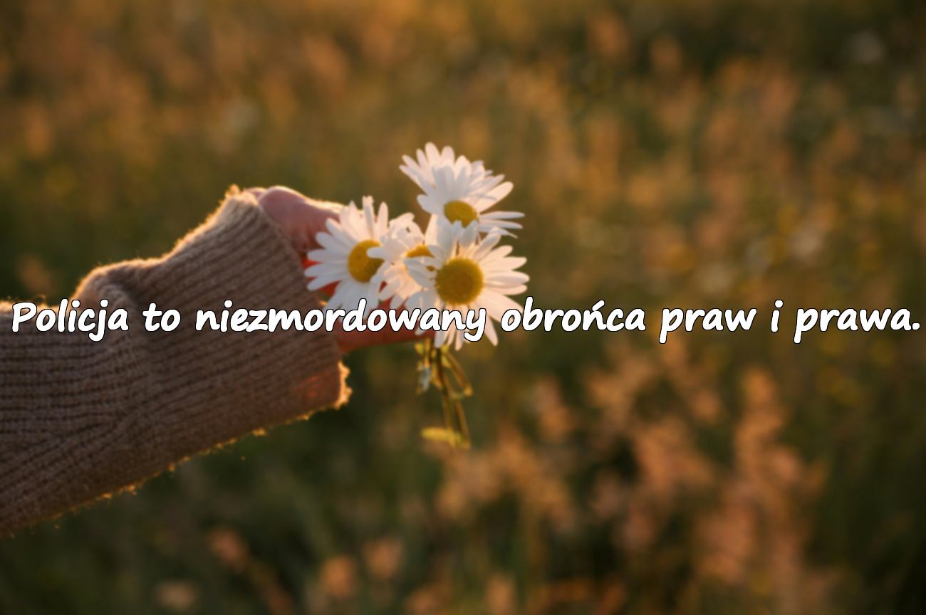 Policja to niezmordowany obrońca praw i prawa.