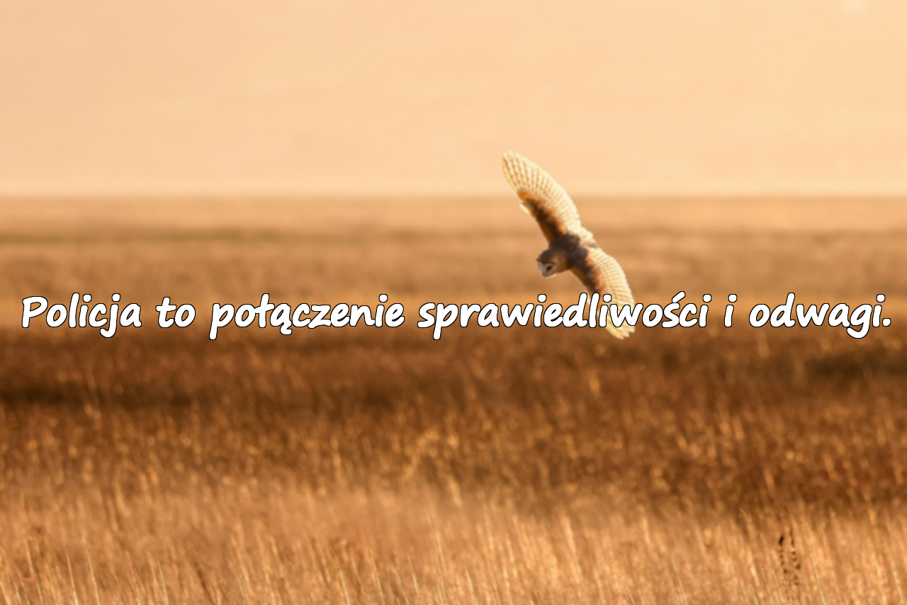 Policja to połączenie sprawiedliwości i odwagi.