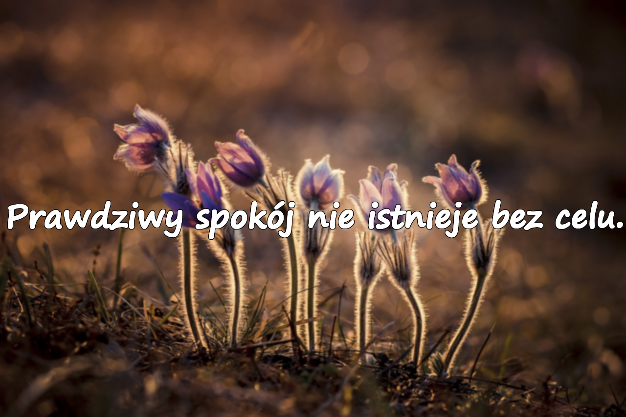 Cytaty o pracy, wysiłku i wytrwałości