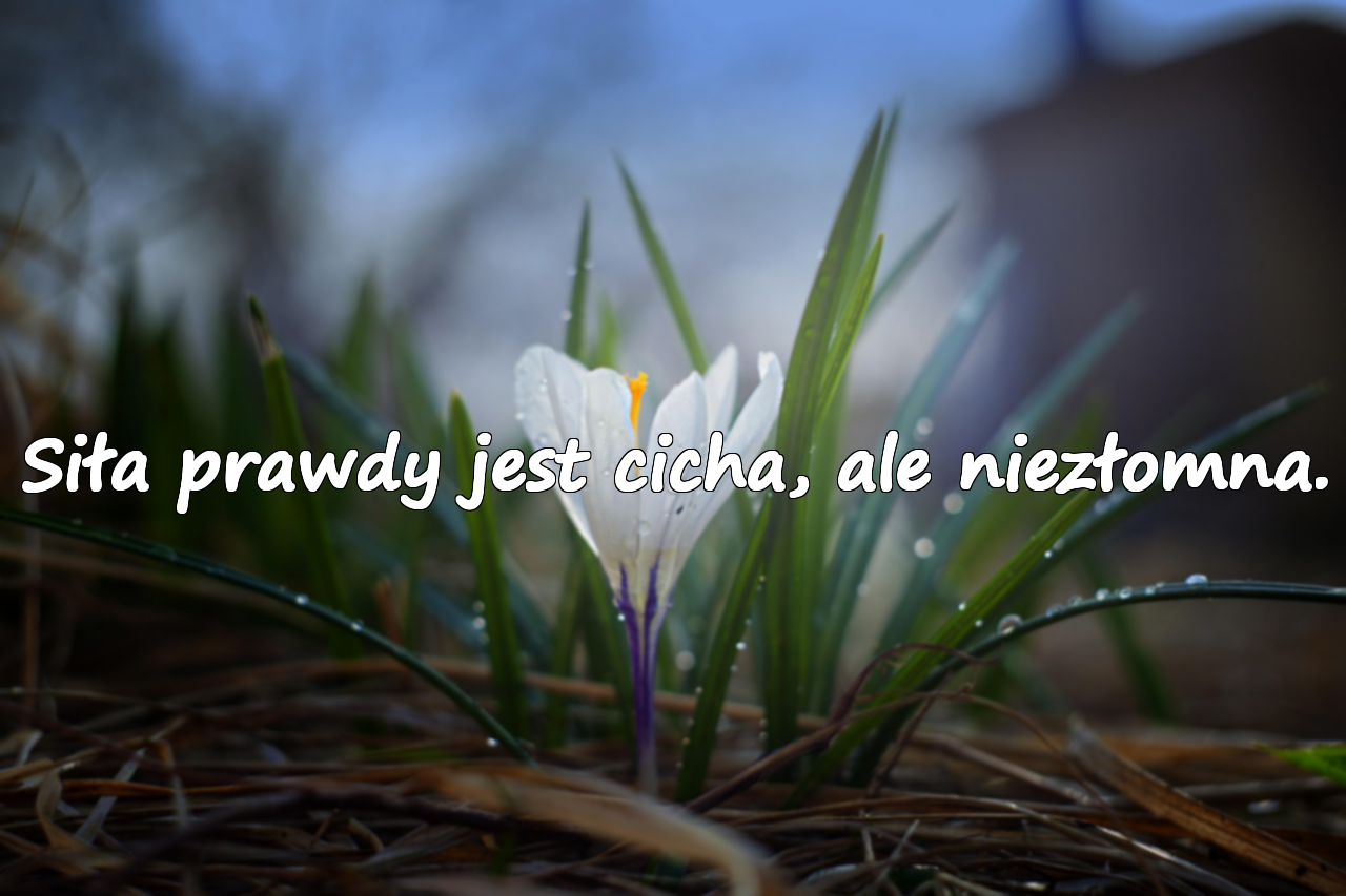 Cytaty o prawdzie