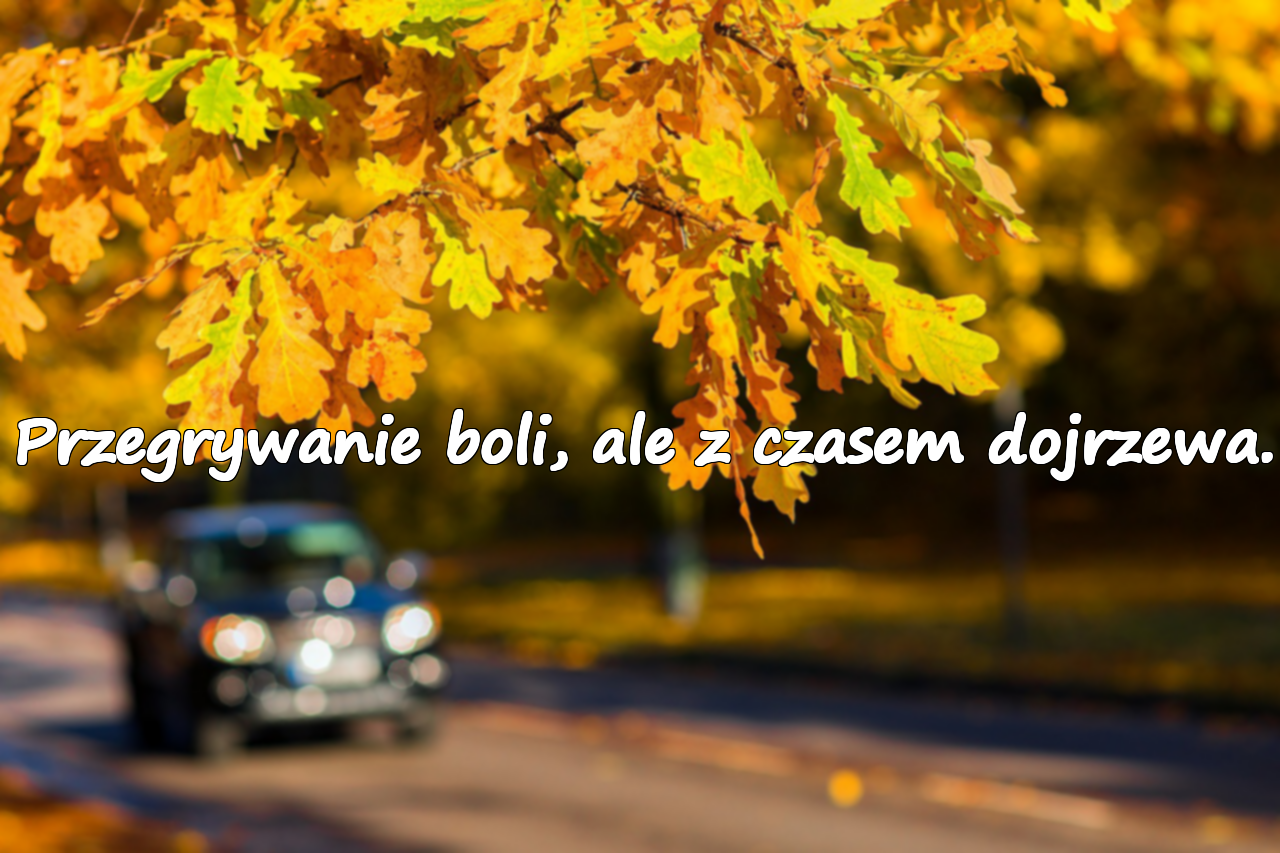 Przegrywanie boli, ale z czasem dojrzewa.