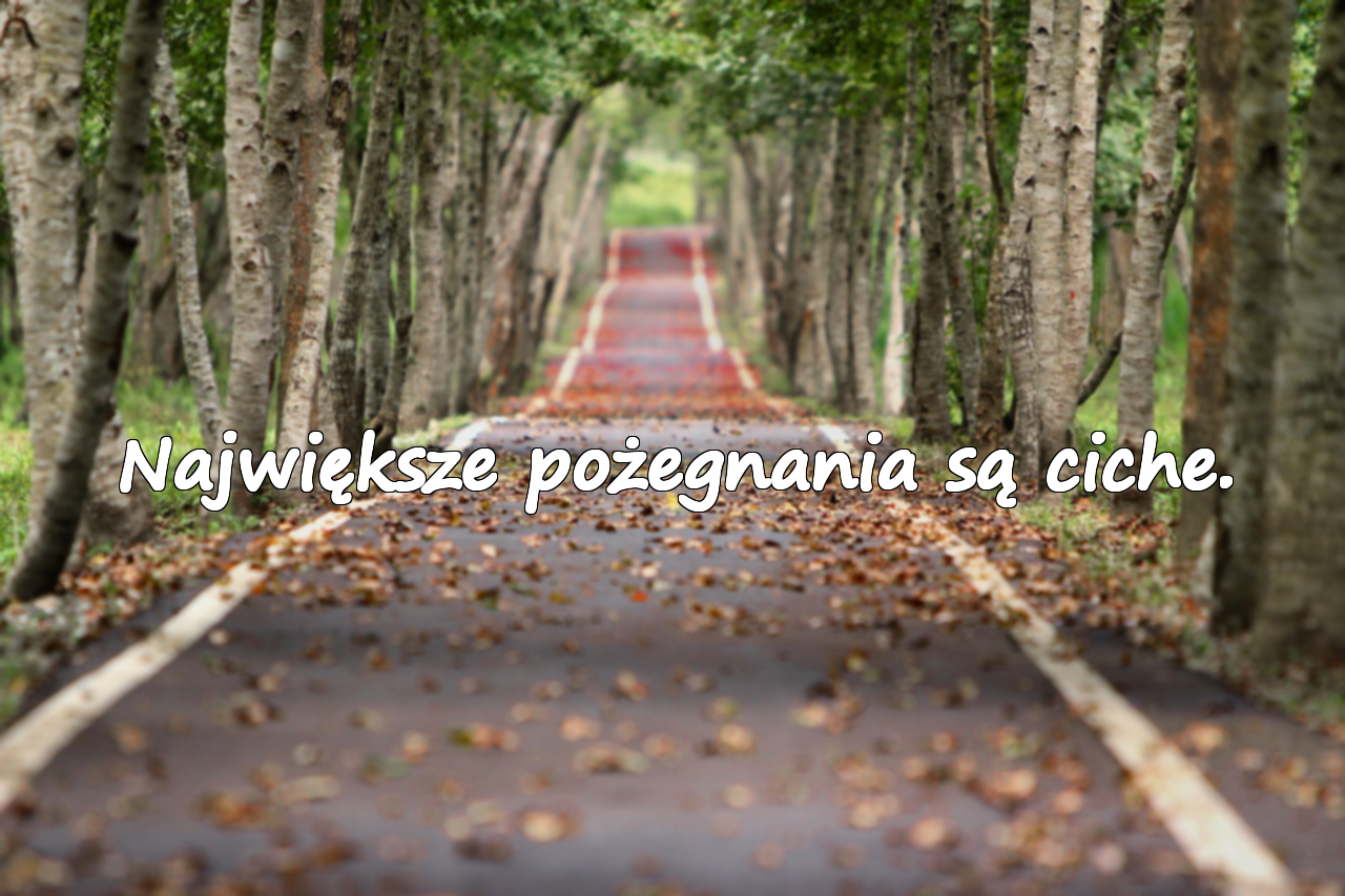 Cytaty o rozstaniu