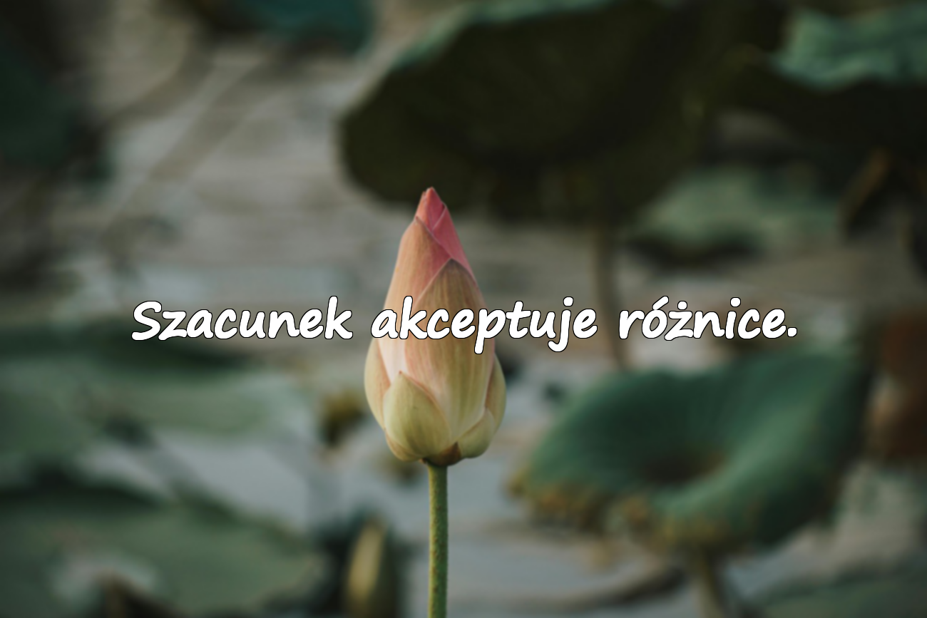 Szacunek akceptuje różnice.