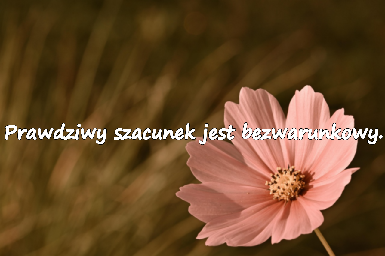 Prawdziwy szacunek jest bezwarunkowy.