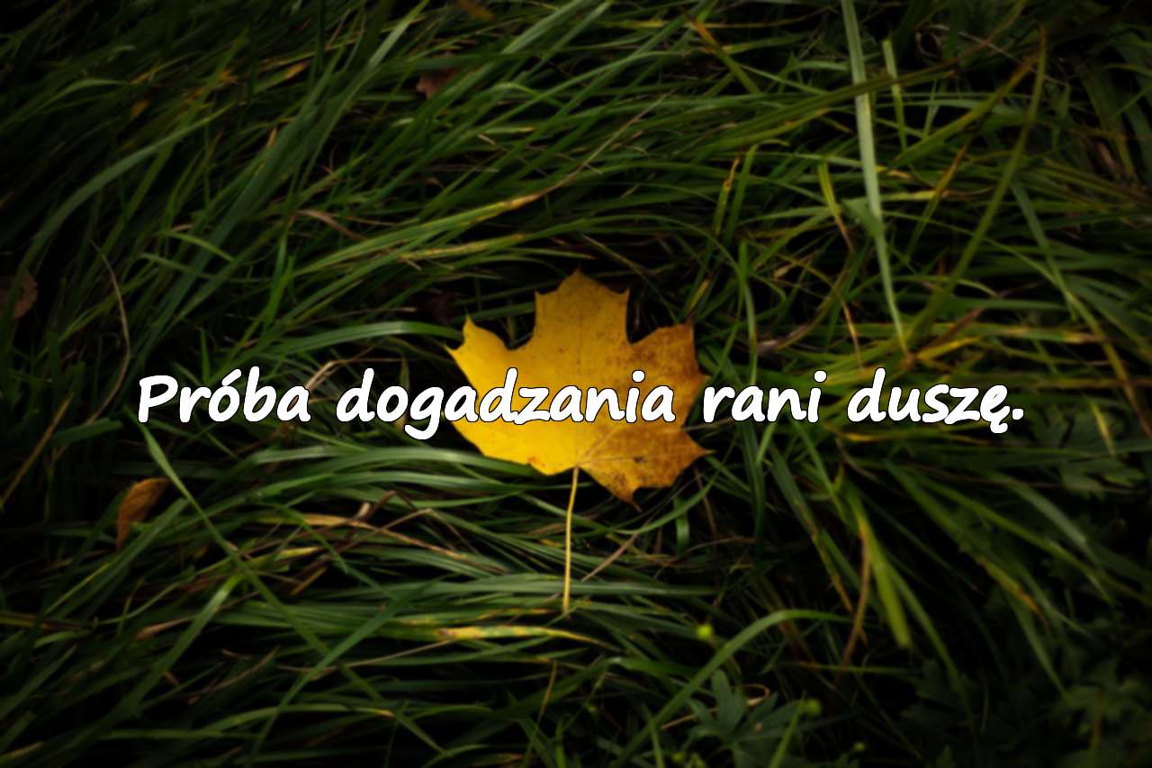 Próba dogadzania rani duszę.