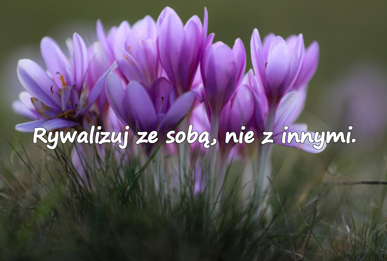 Cytaty o uprawianiu sportu