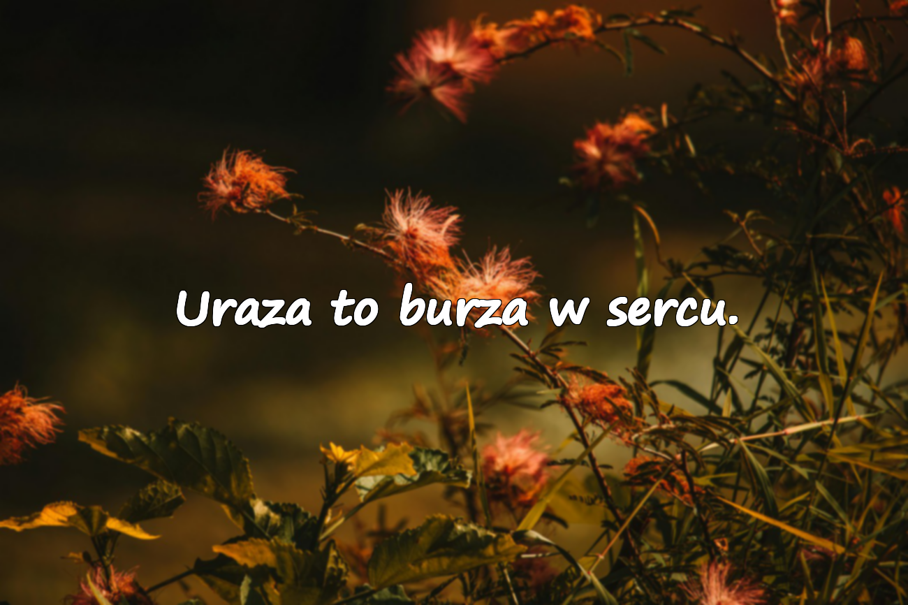 Uraza to burza w sercu.