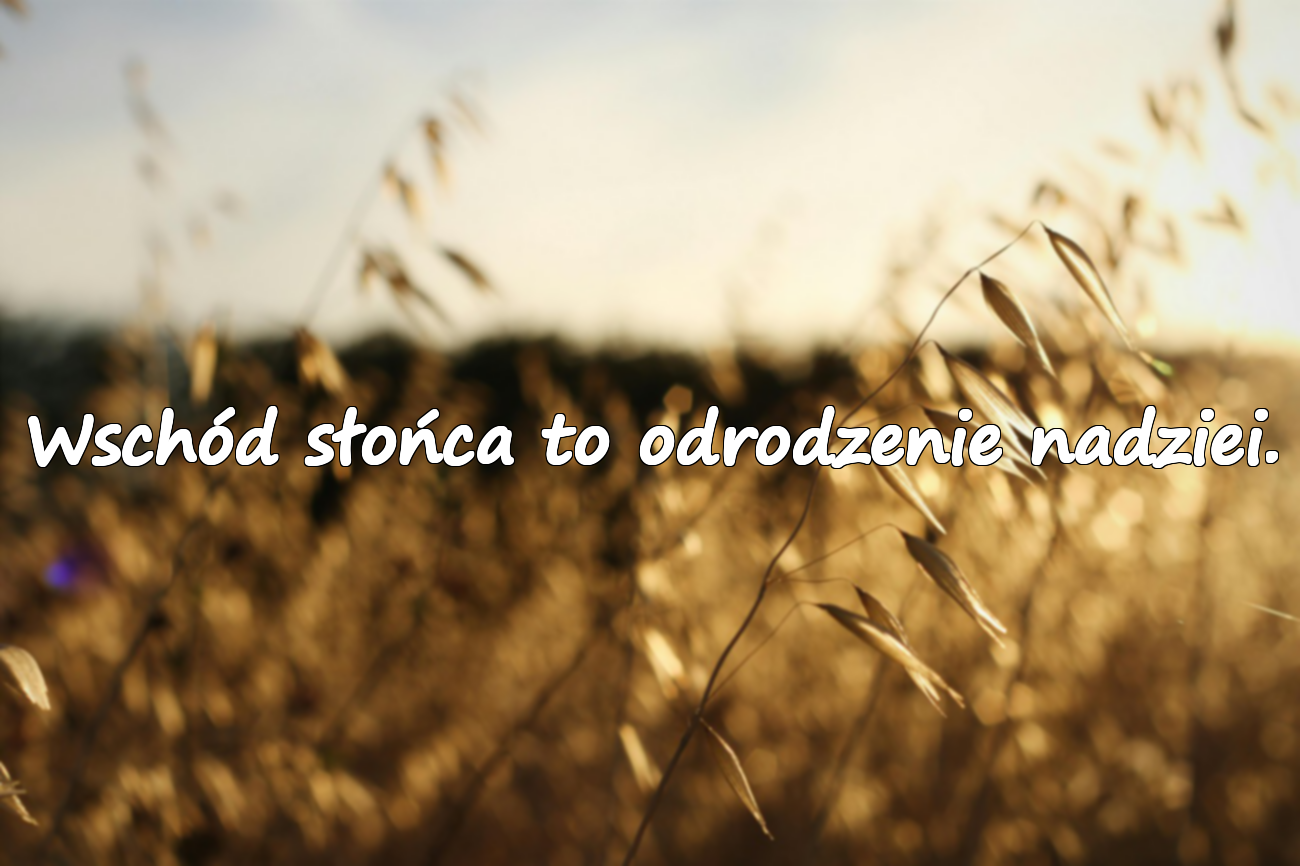 Cytaty o wschodzie słońca