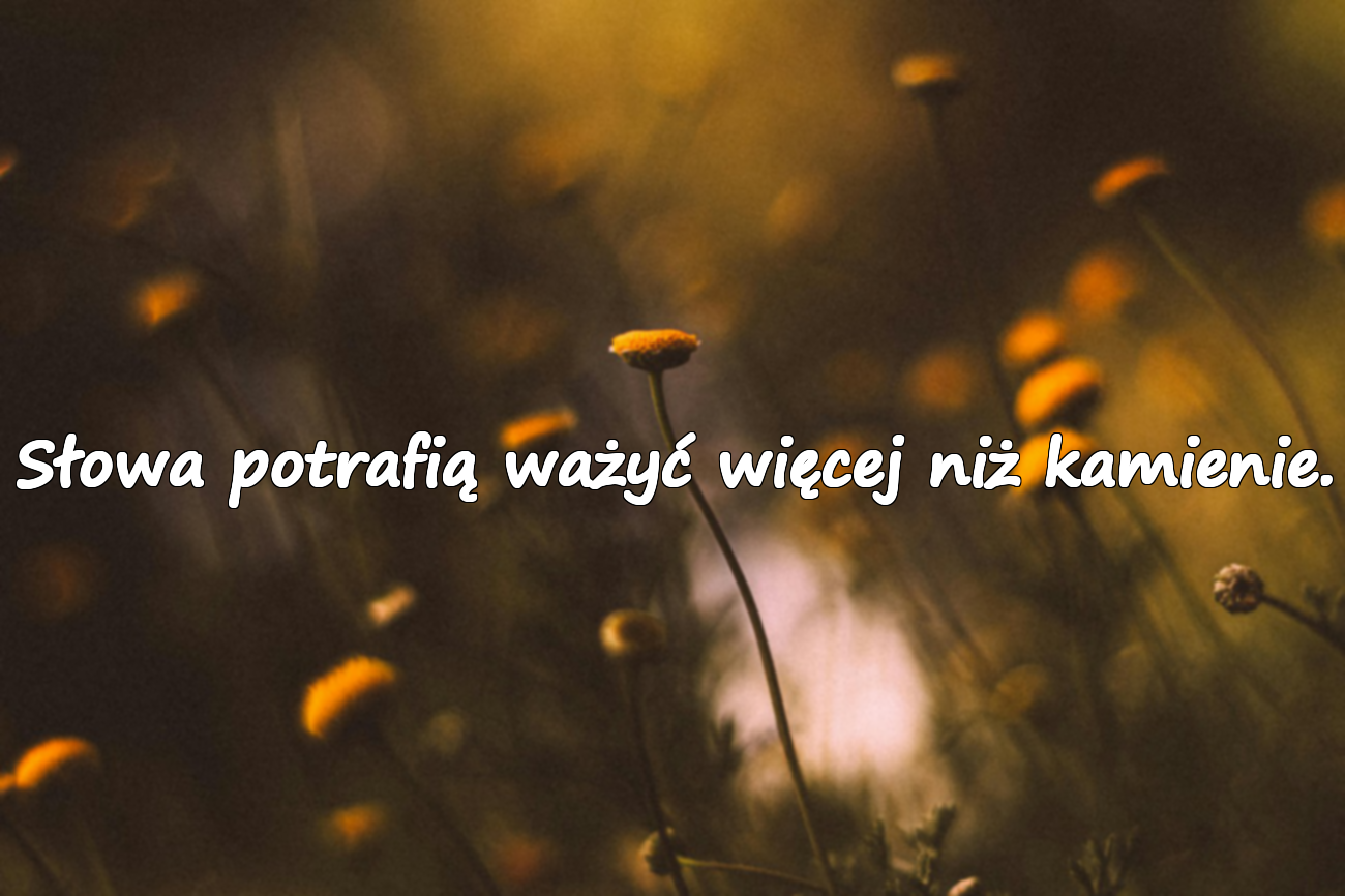 Słowa potrafią ważyć więcej niż kamienie.