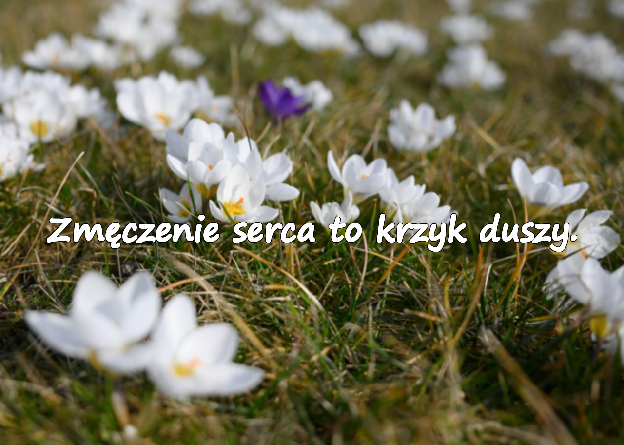 Zmęczenie serca to krzyk duszy.