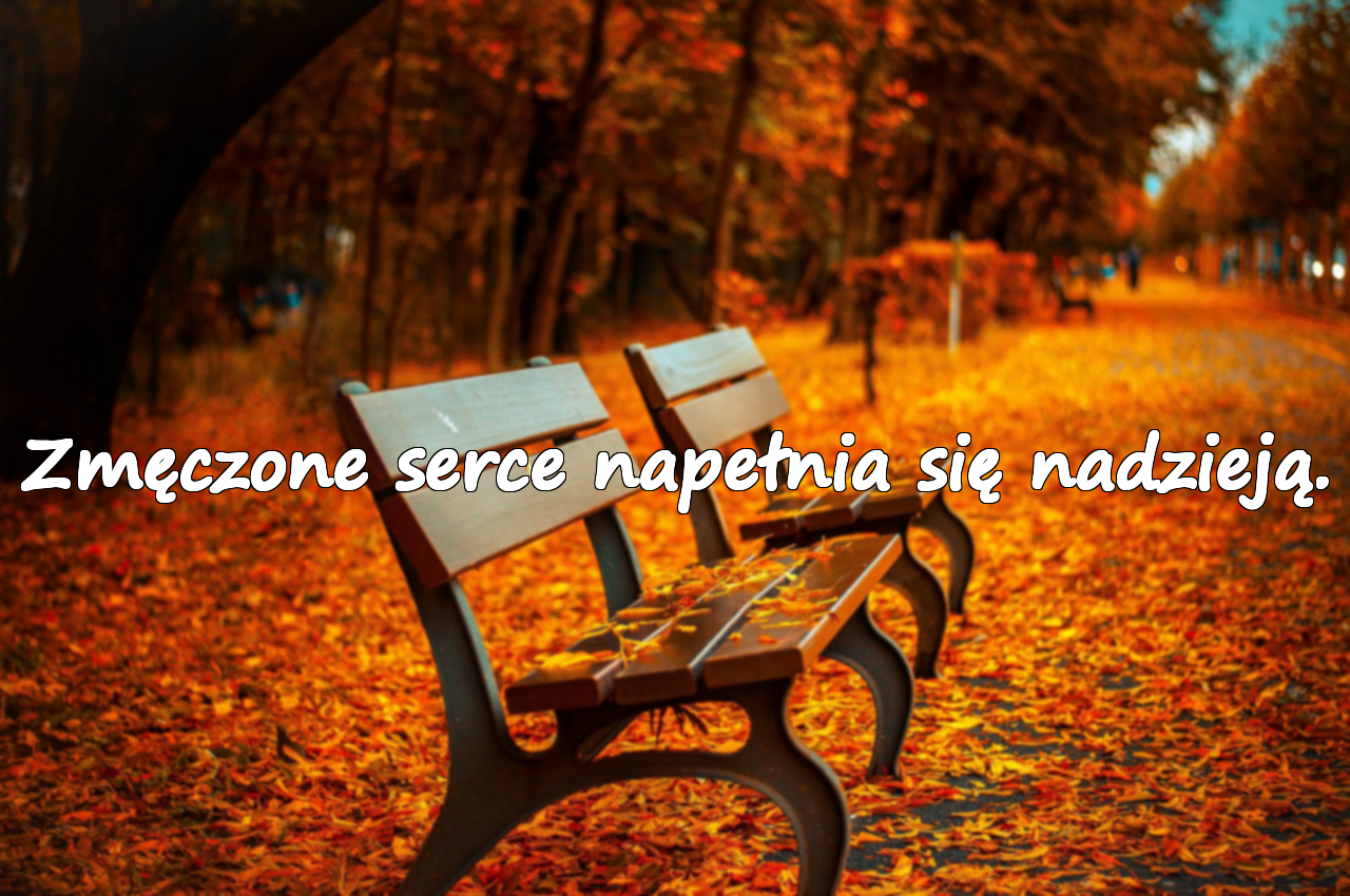 Cytaty o zmęczeniu serca