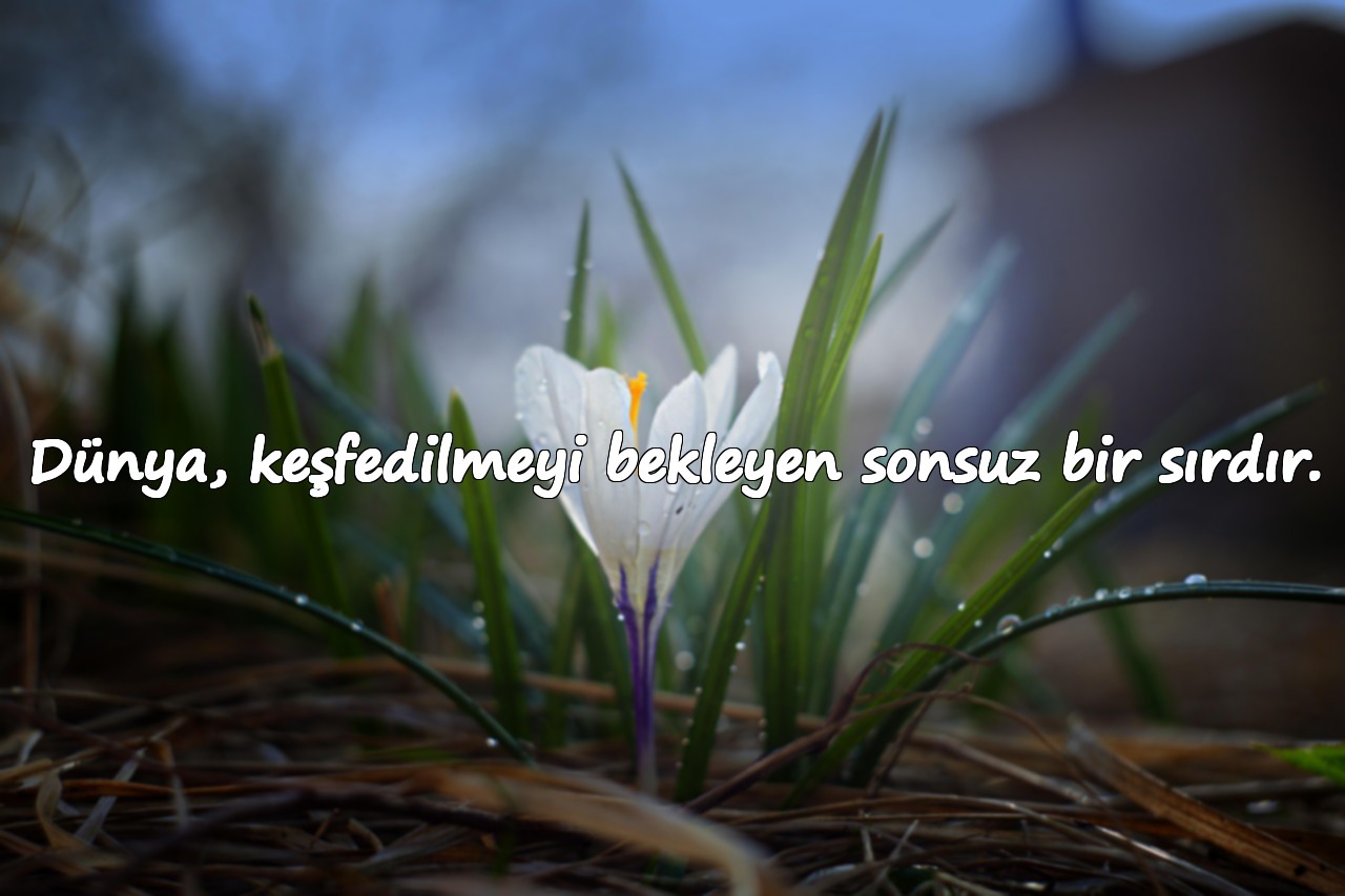 Dünya, keşfedilmeyi bekleyen sonsuz bir sırdır.