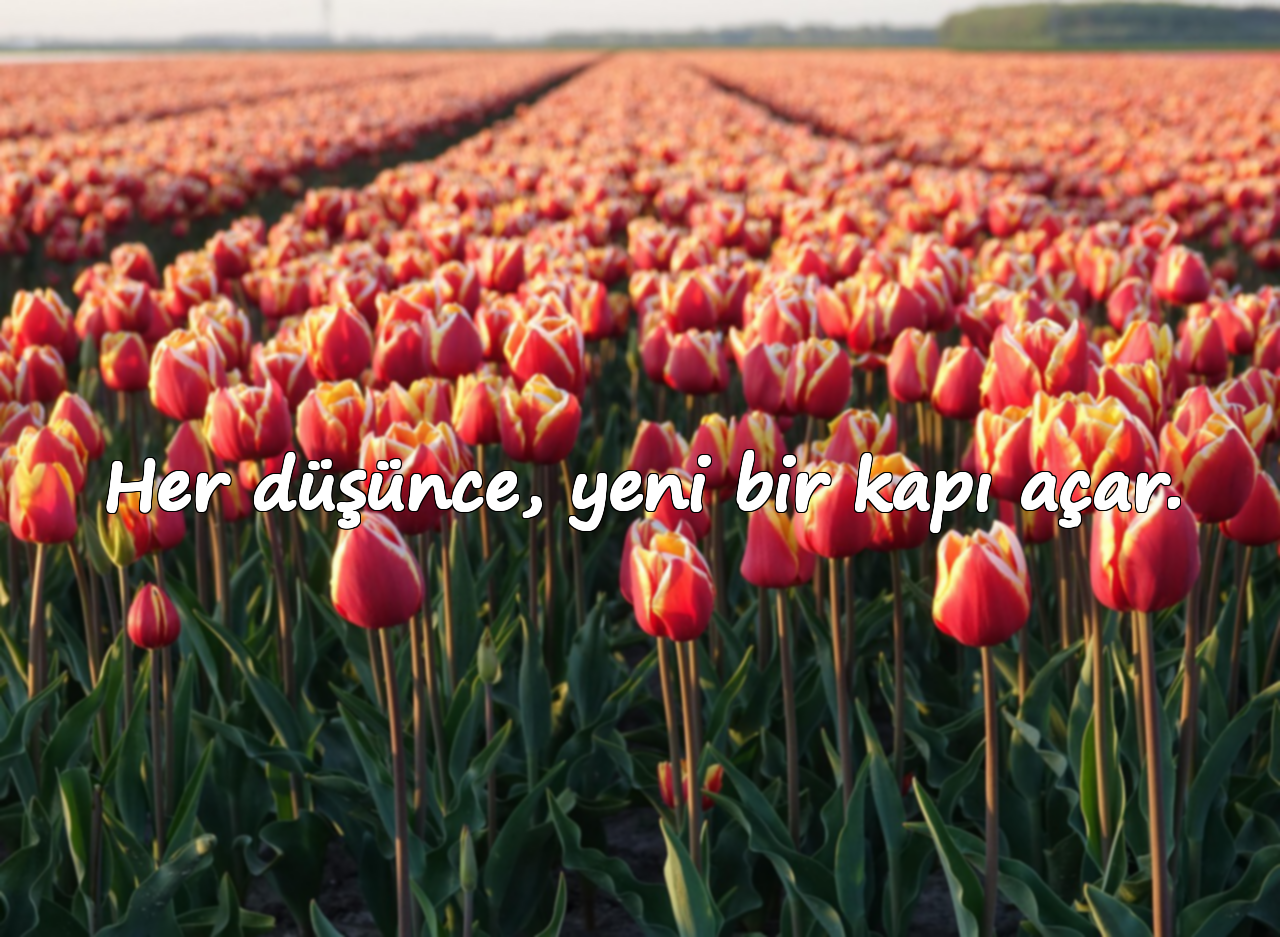 Her düşünce, yeni bir kapı açar.
