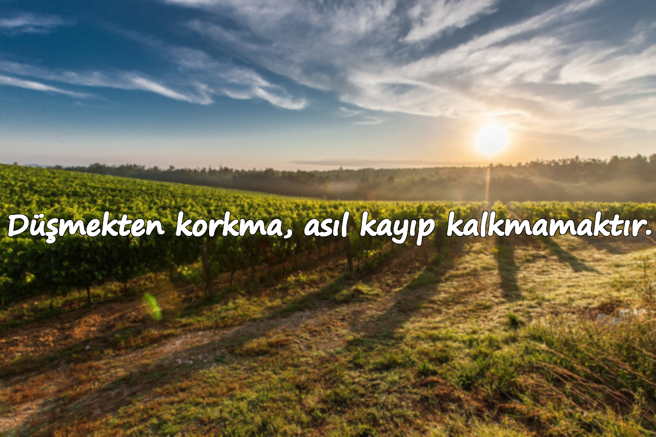 Düşmekten korkma, asıl kayıp kalkmamaktır.