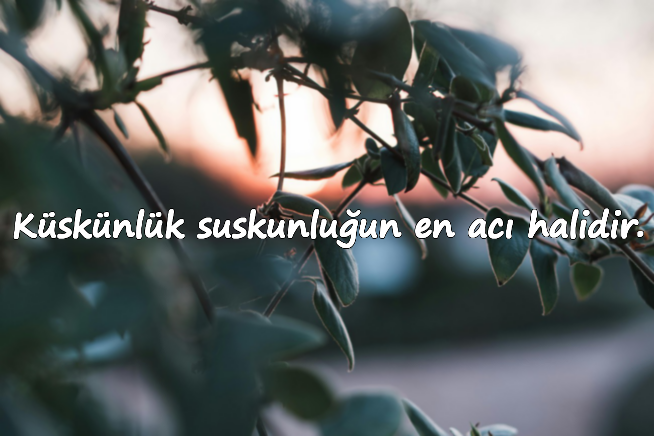 Küskünlük suskunluğun en acı halidir.