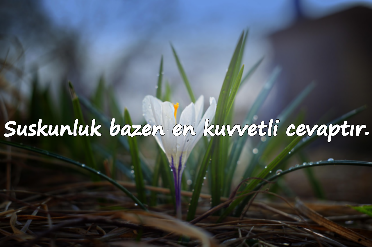 Suskunluk bazen en kuvvetli cevaptır.