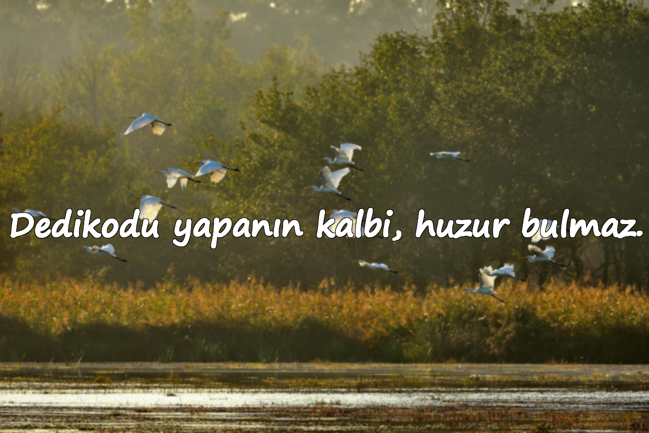 Dedikodu yapanın kalbi, huzur bulmaz.