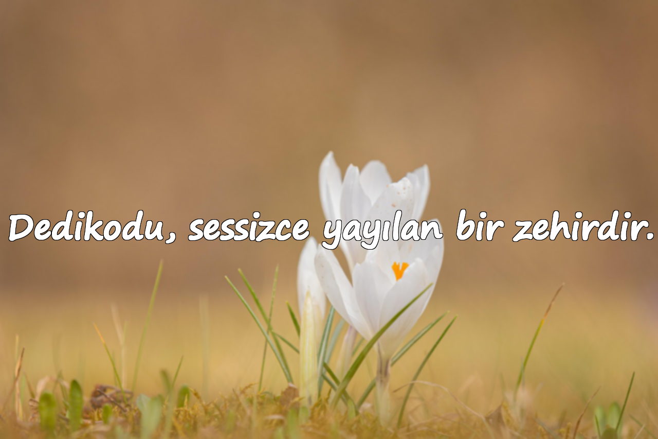 Dedikodu, sessizce yayılan bir zehirdir.