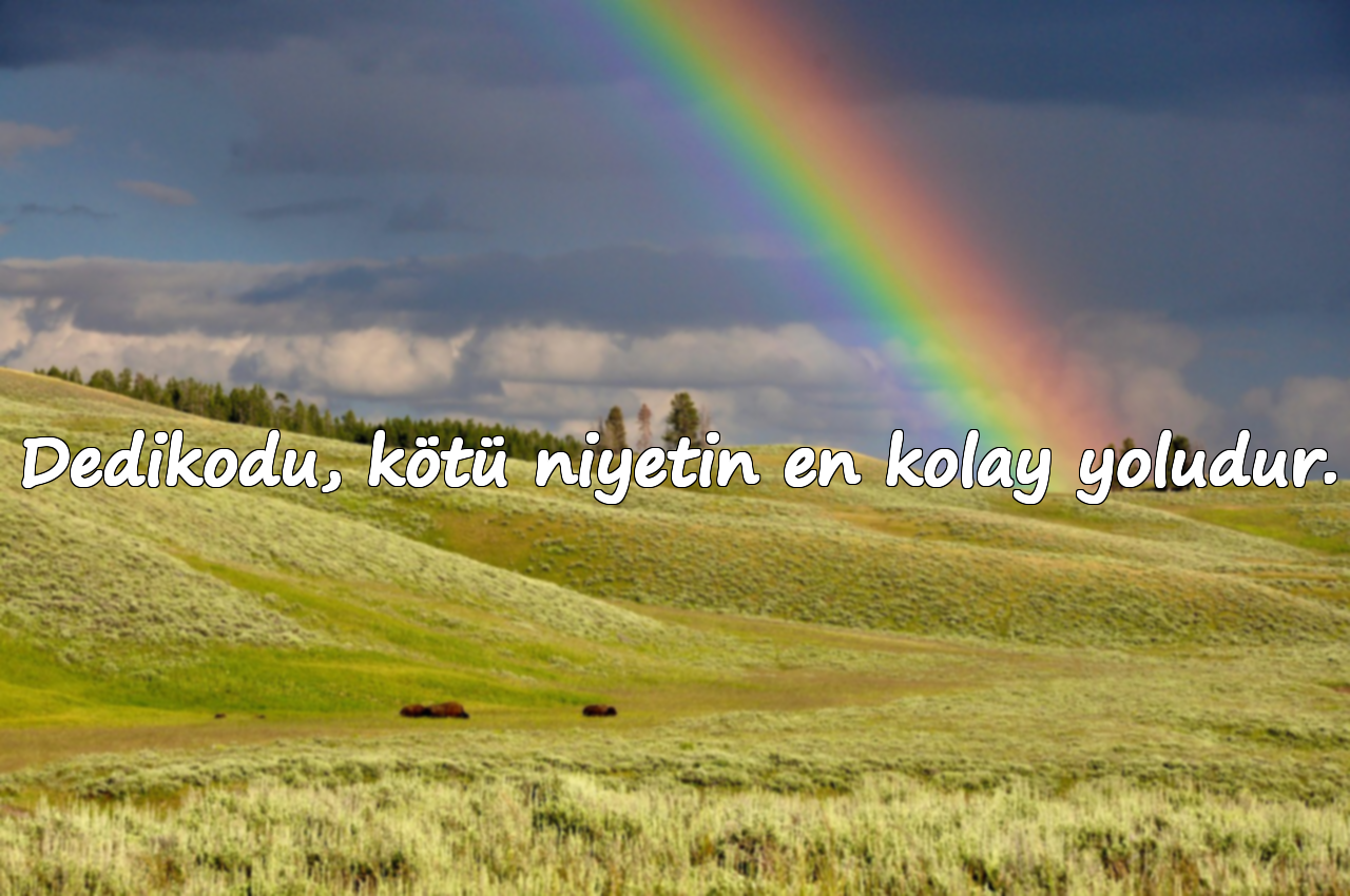 Dedikodu, kötü niyetin en kolay yoludur.